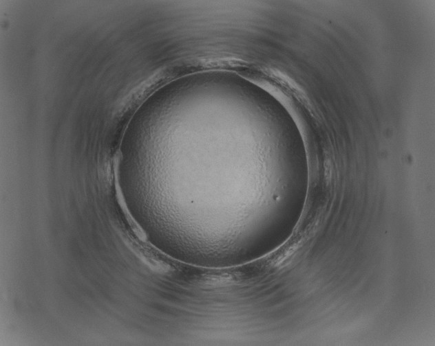 X0000073950405200608211145