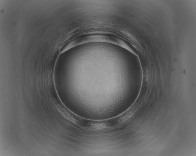 X0000073950409200608211145