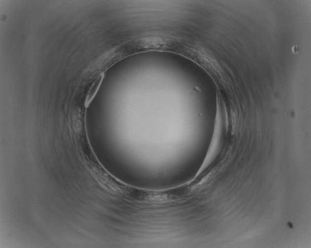 X0000073950413200608211145