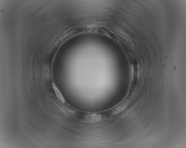X0000073950421200608211145