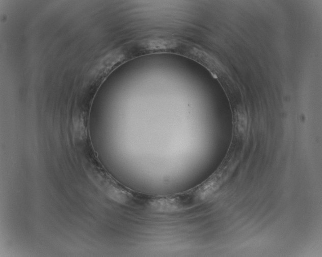 X0000073950422200608211145