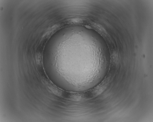 X0000073950423200608211145