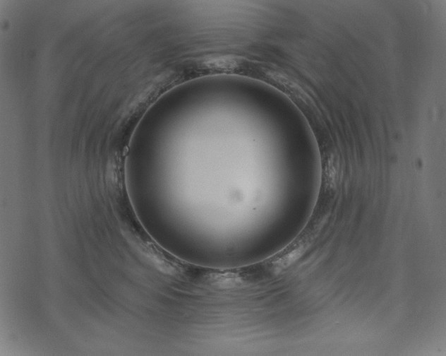 X0000073950424200608211145
