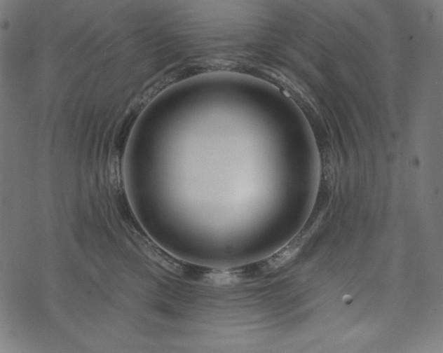 X0000073950425200608211145