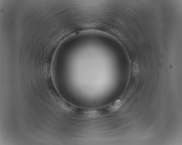 X0000073950428200608211145