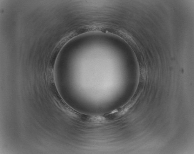 X0000073950429200608211145