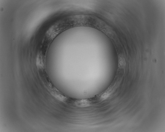X0000073950431200608211145