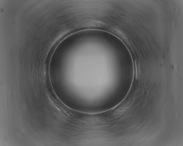 X0000073950435200608211144