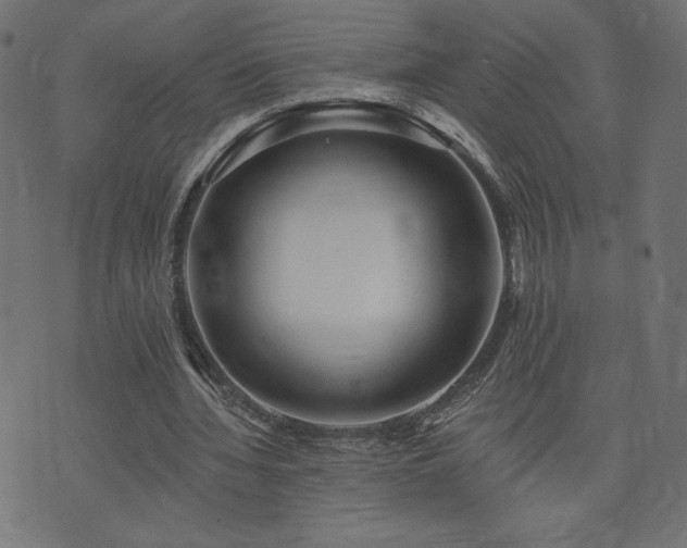X0000073950436200608211144