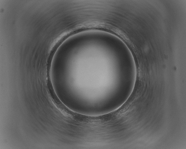 X0000073950438200608211144