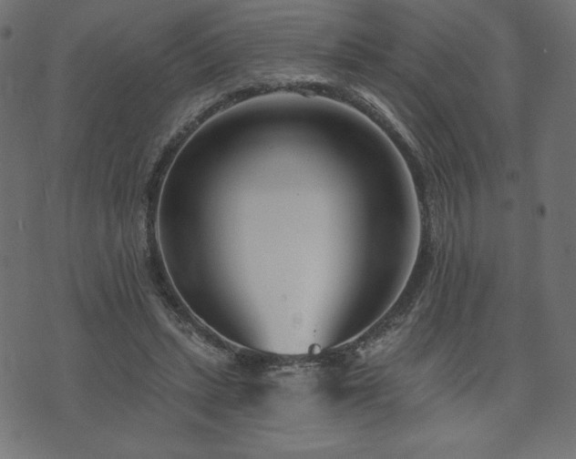 X0000073950447200608211144