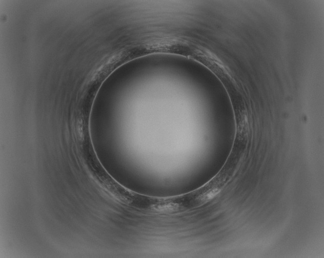 X0000073950452200608211144