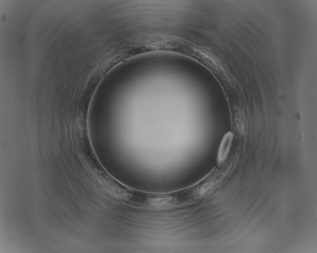 X0000073950461200608211144