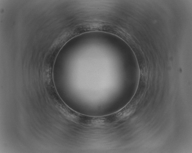 X0000073950462200608211144