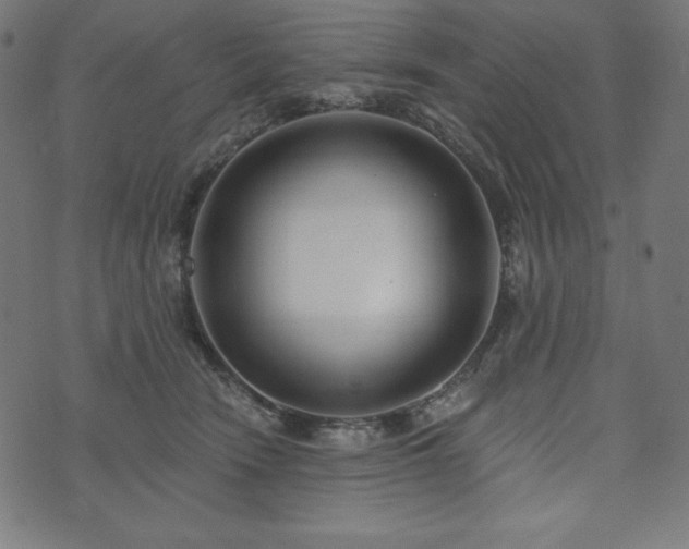X0000073950466200608211144