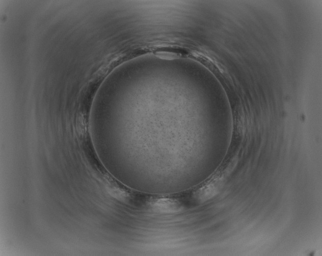 X0000073950467200608211144