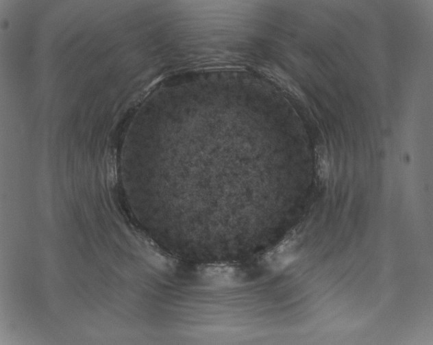 X0000073950471200608211144