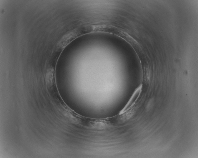 X0000073950475200608211144