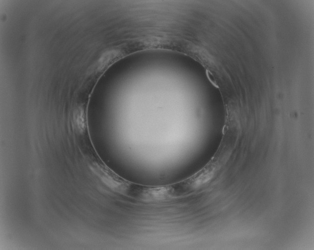 X0000073950479200608211144
