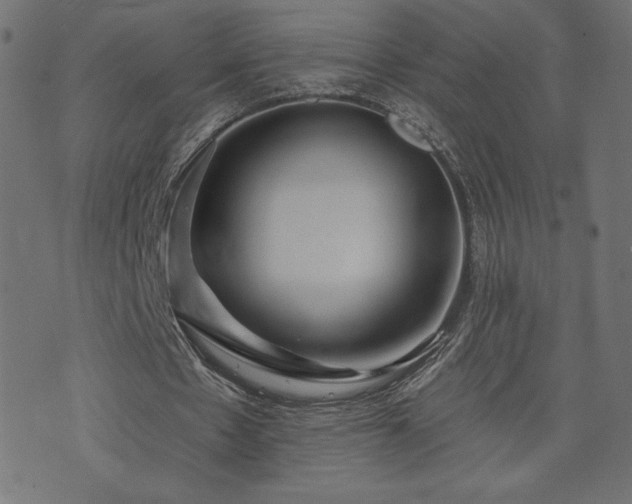 X0000073950481200608211144