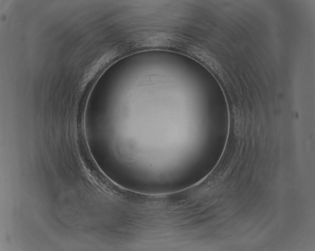 X0000073950482200608211144