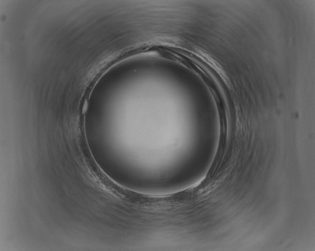X0000073950485200608211144