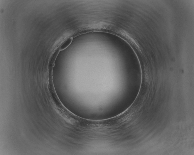X0000073950486200608211144