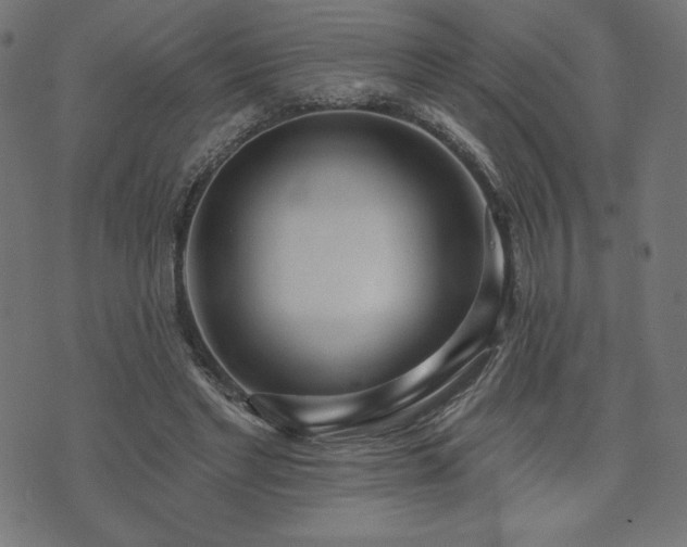 X0000073950493200608211144