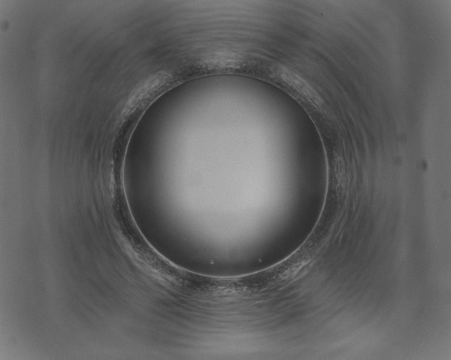 X0000073950494200608211144