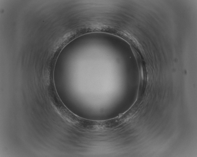X0000073950496200608211143
