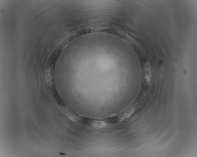 X0000073950519200608211143