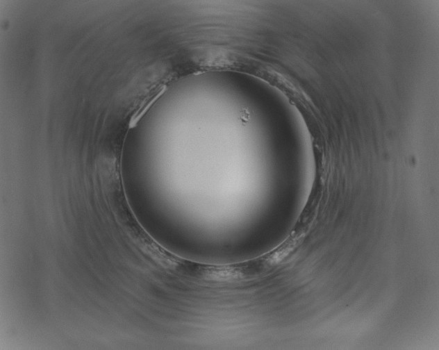 X0000073950521200608211143