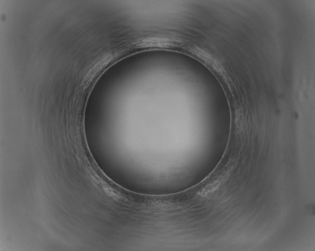 X0000073950529200608211142
