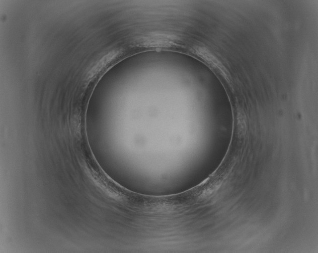 X0000073950533200608211142