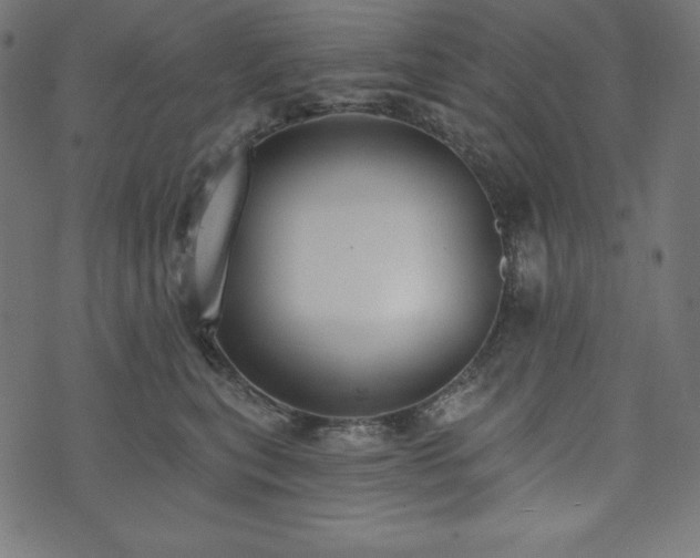 X0000073950567200608211143