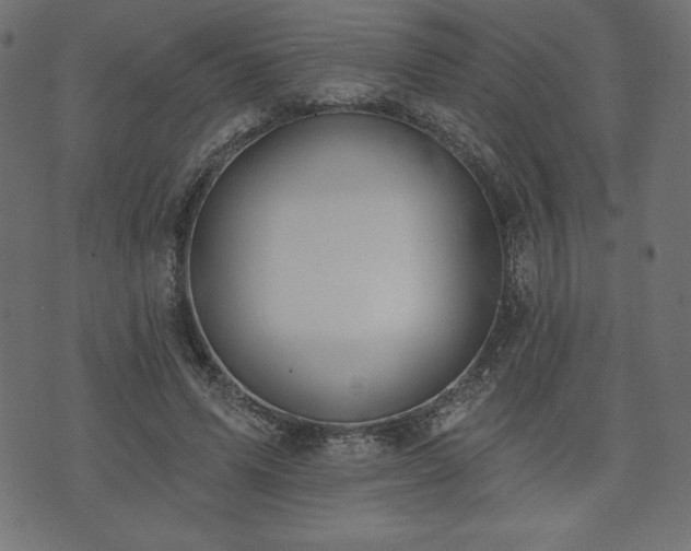 X0000073950591200608211142