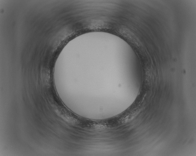 X0000073950592200608211142