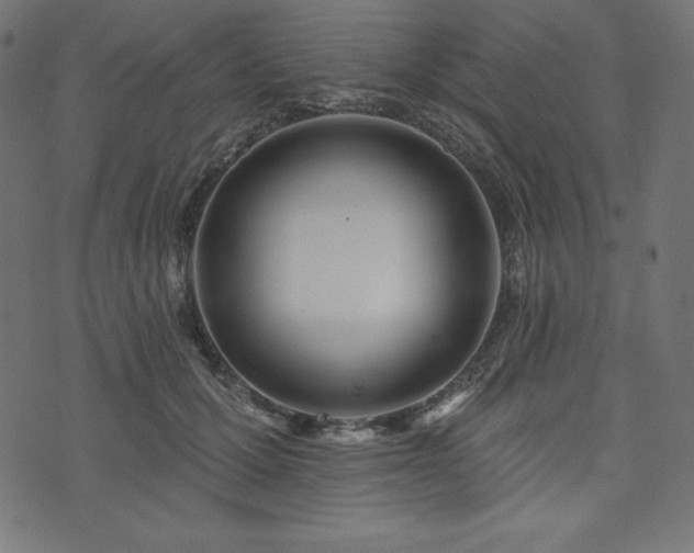 X0000073950607200608211142