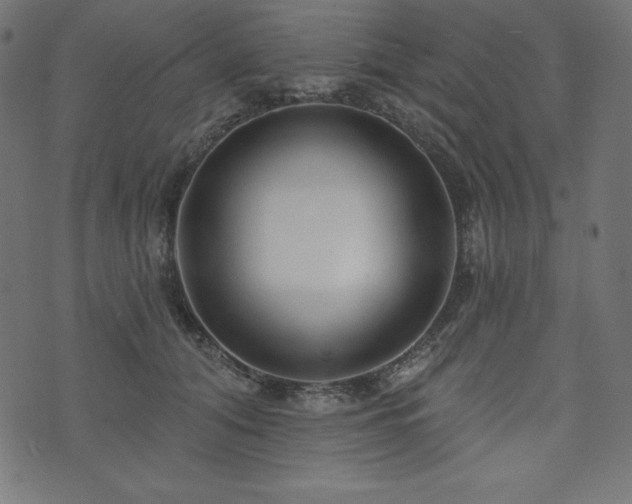 X0000073950608200608211142