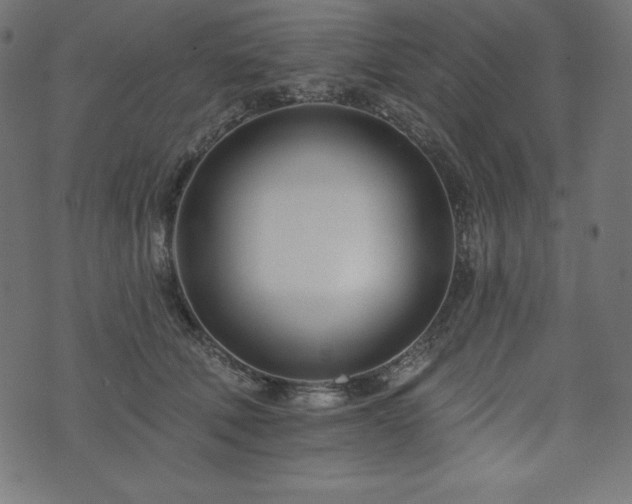 X0000073950610200608211142