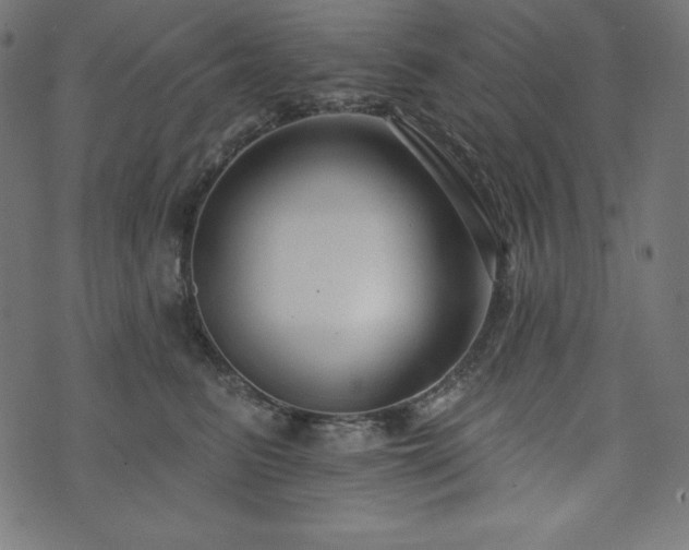 X0000073950615200608211142