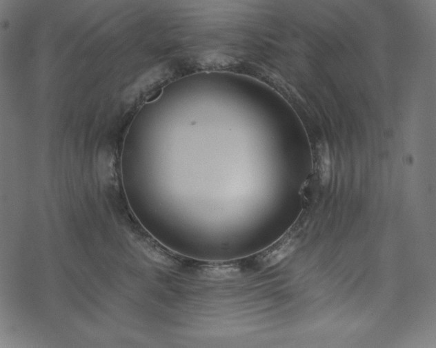 X0000073950619200608211142