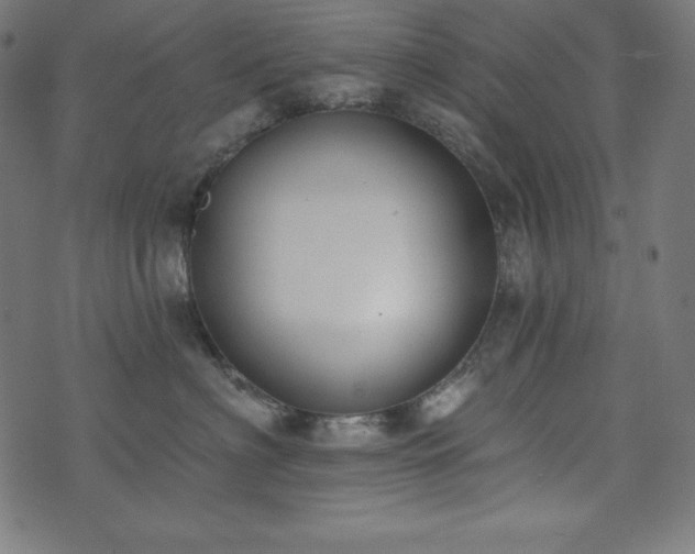 X0000073950622200608211141