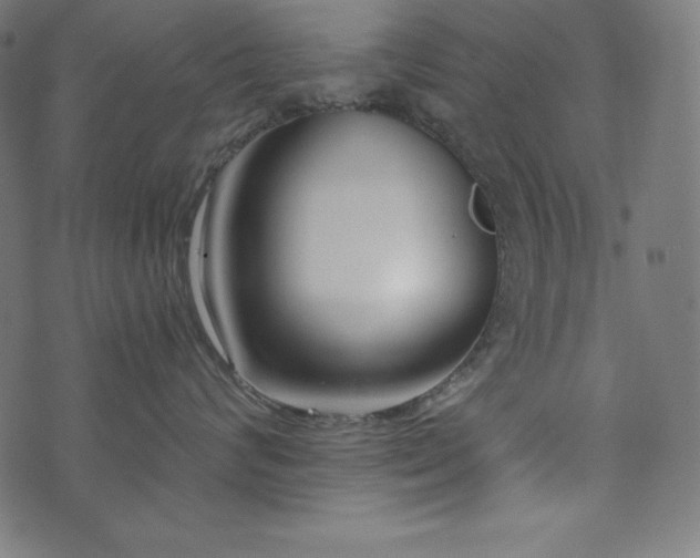 X0000073950624200608211141