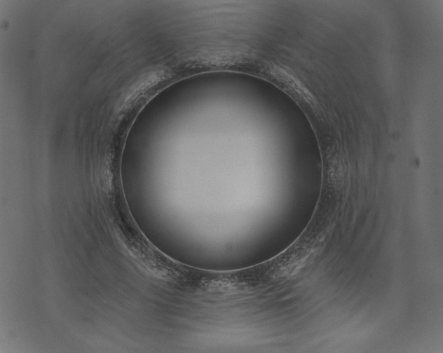 X0000073950635200608211141