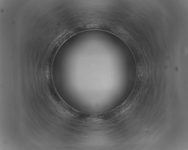 X0000073950648200608211141