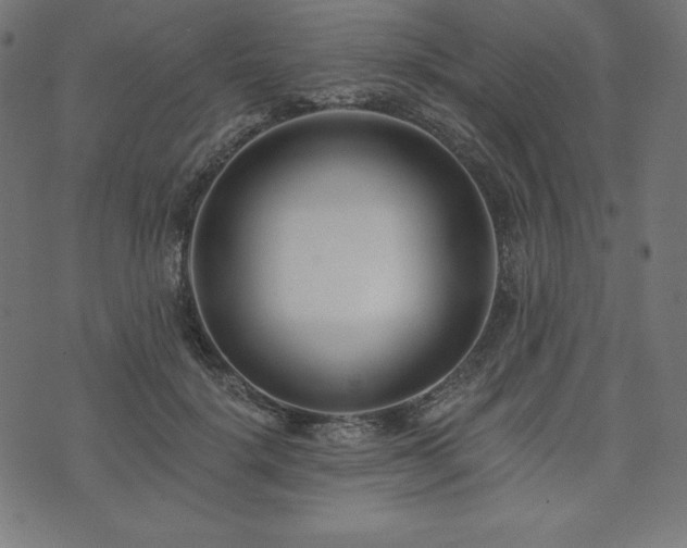 X0000073950652200608211141