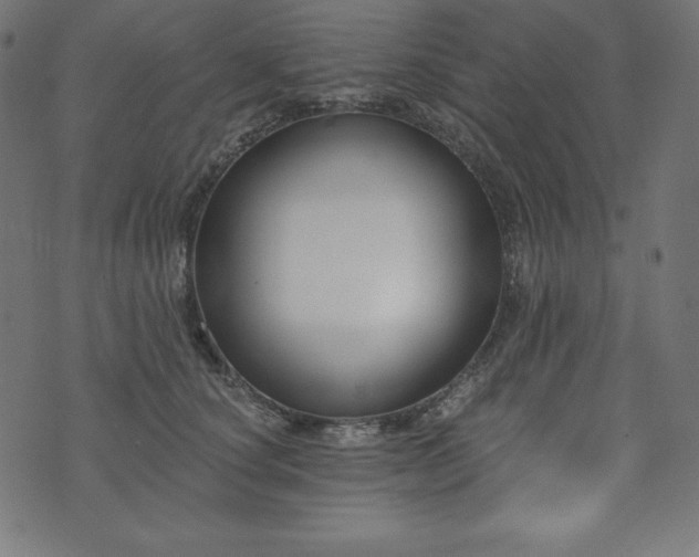 X0000073950660200608211141