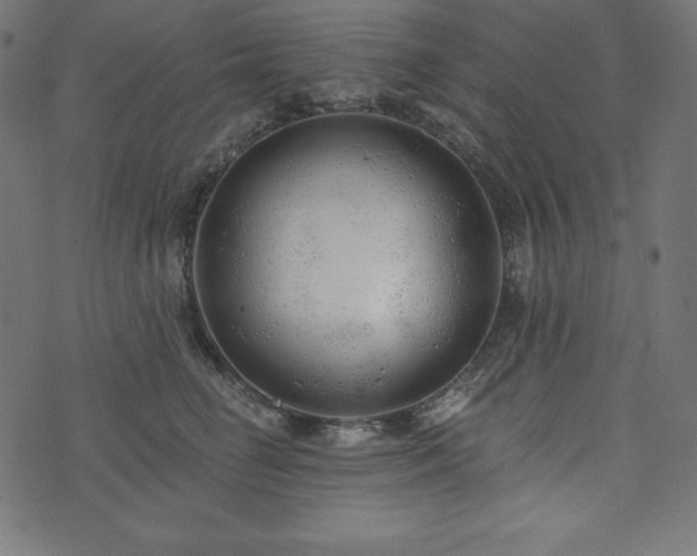 X0000073950662200608211141