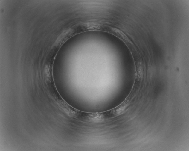 X0000073950667200608211141